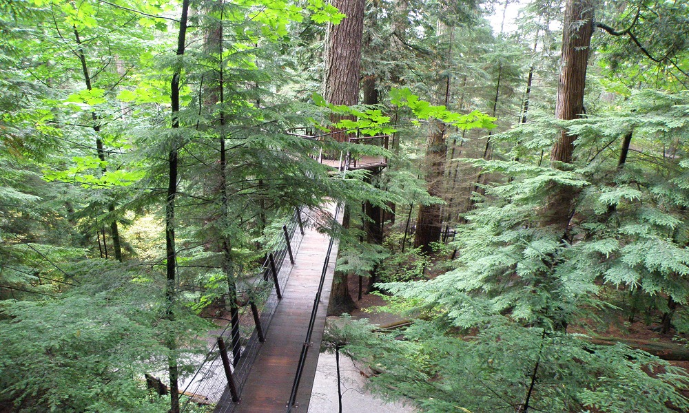 Capilano walk