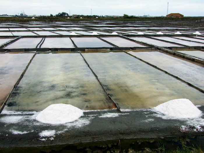 Aveiro Salt Pans