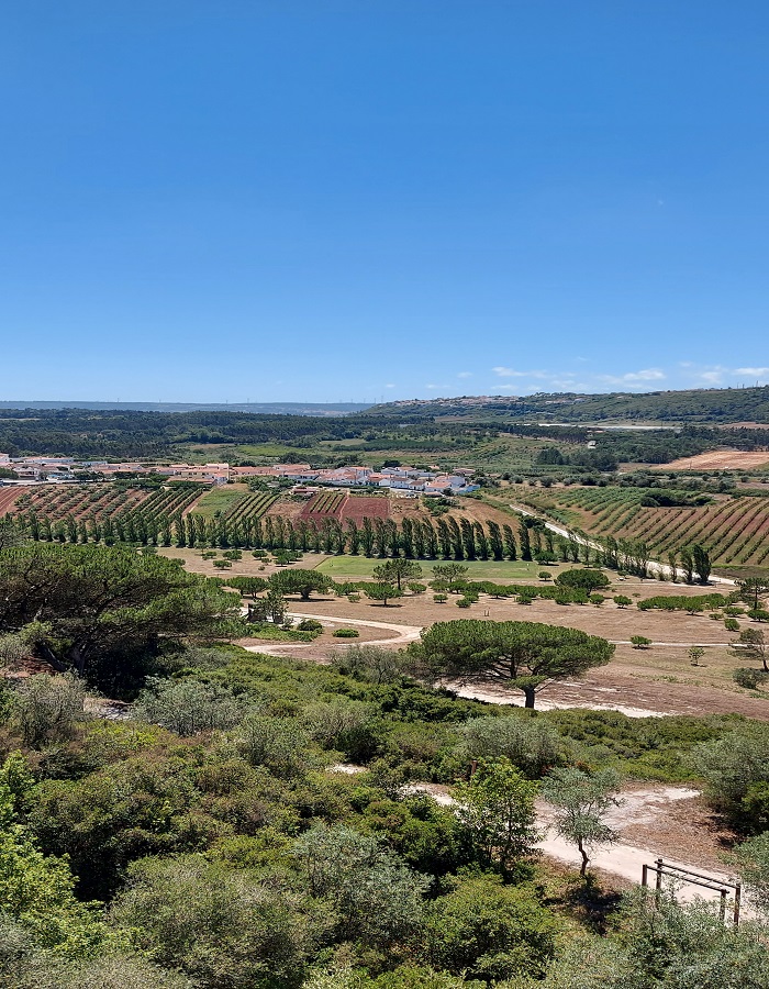 Óbidos view