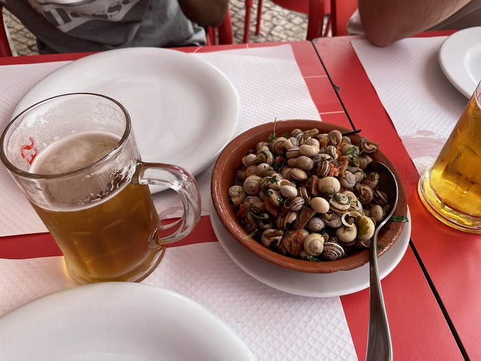 Snails in Nazare